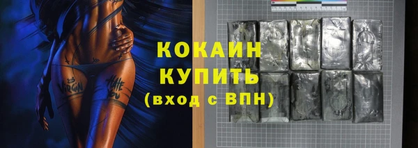 дживик Арсеньев