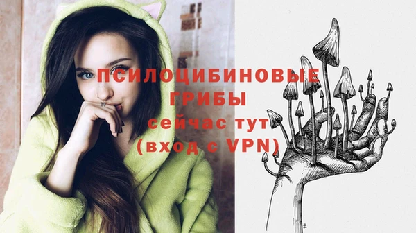 марки nbome Аркадак